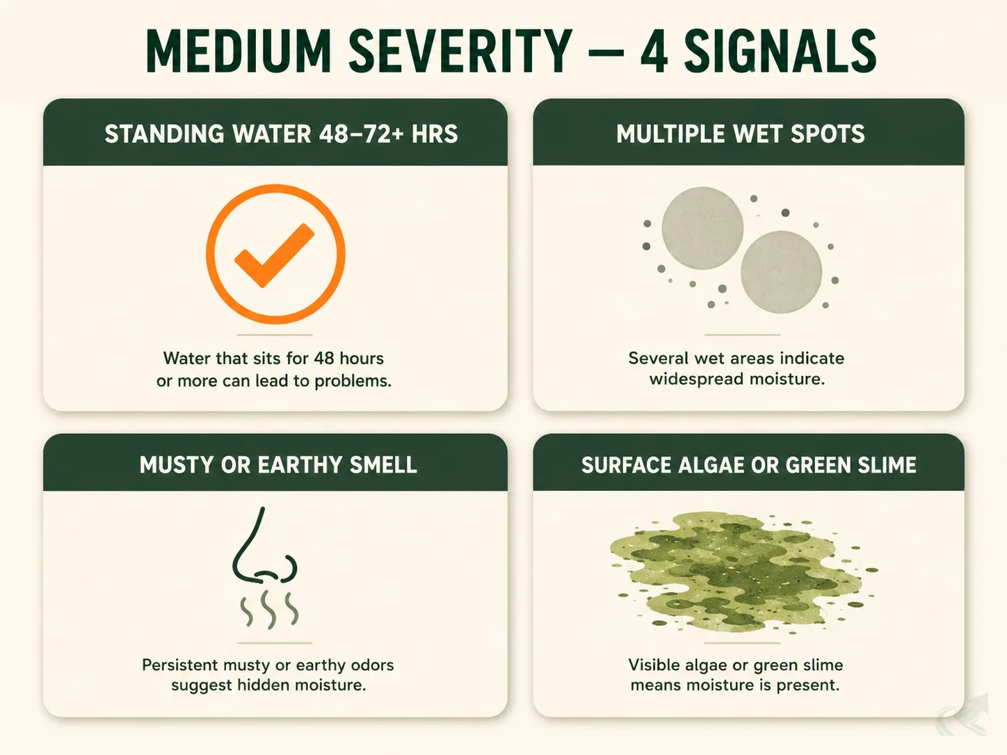 Bento-grid checklist of the four medium-severity standing water signals: 48–72+ hour duration, multiple wet spots, musty smell, and surface algae