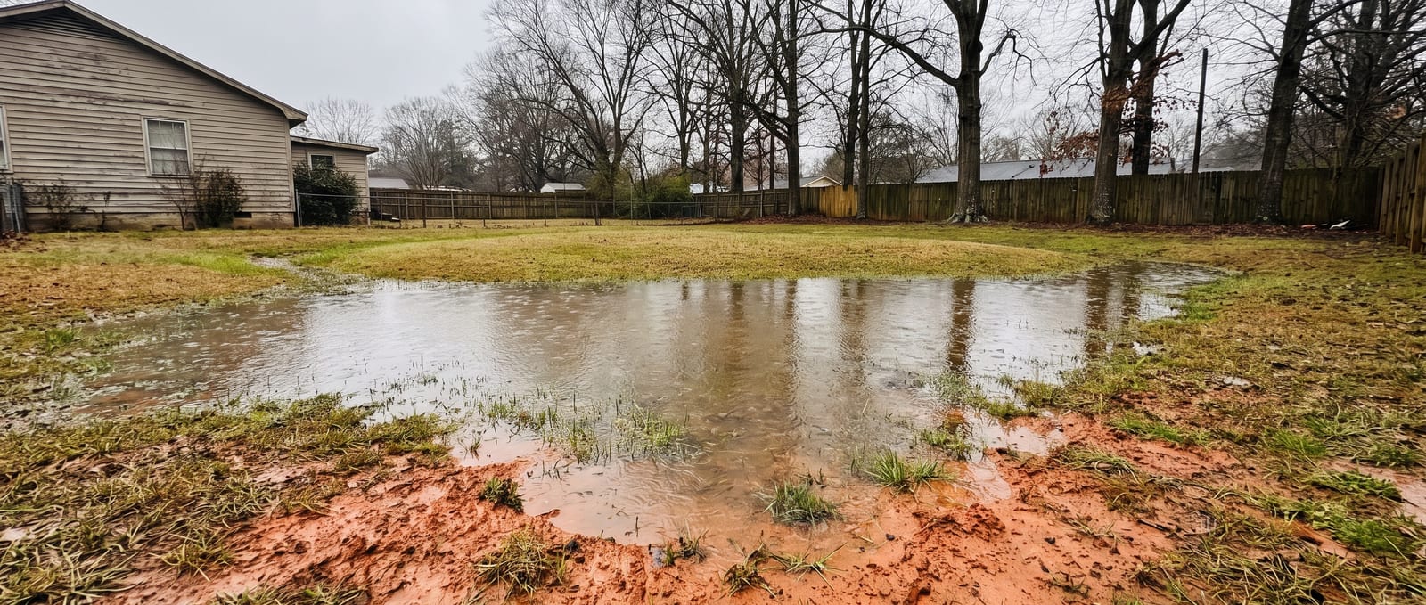 Standing water across a low corner of a Durham back yard, red clay visible at the edge of thin grass, mature hardwoods along the rear boundary under flat overcast light
