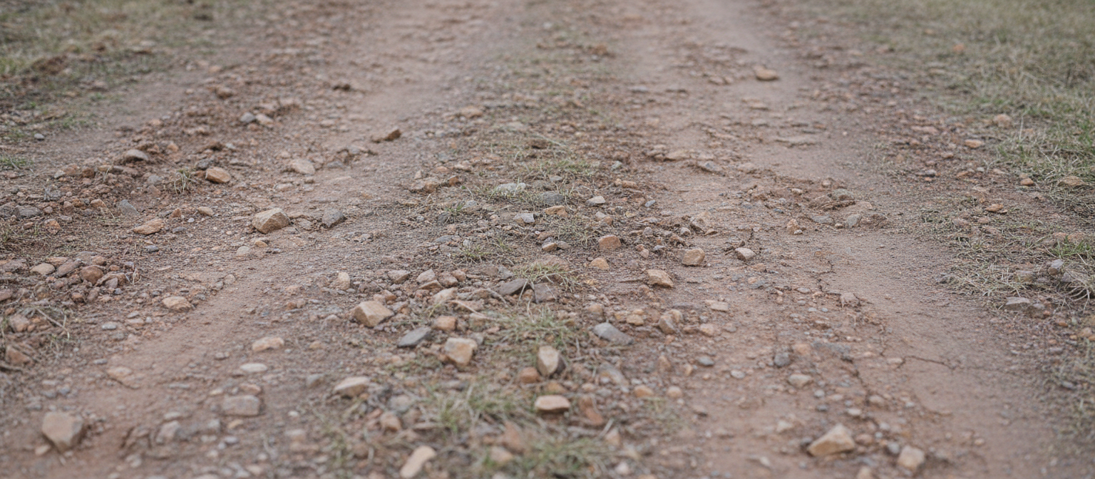 Freeze-thaw heaved NC red clay driveway surface cracked and buckled in winter