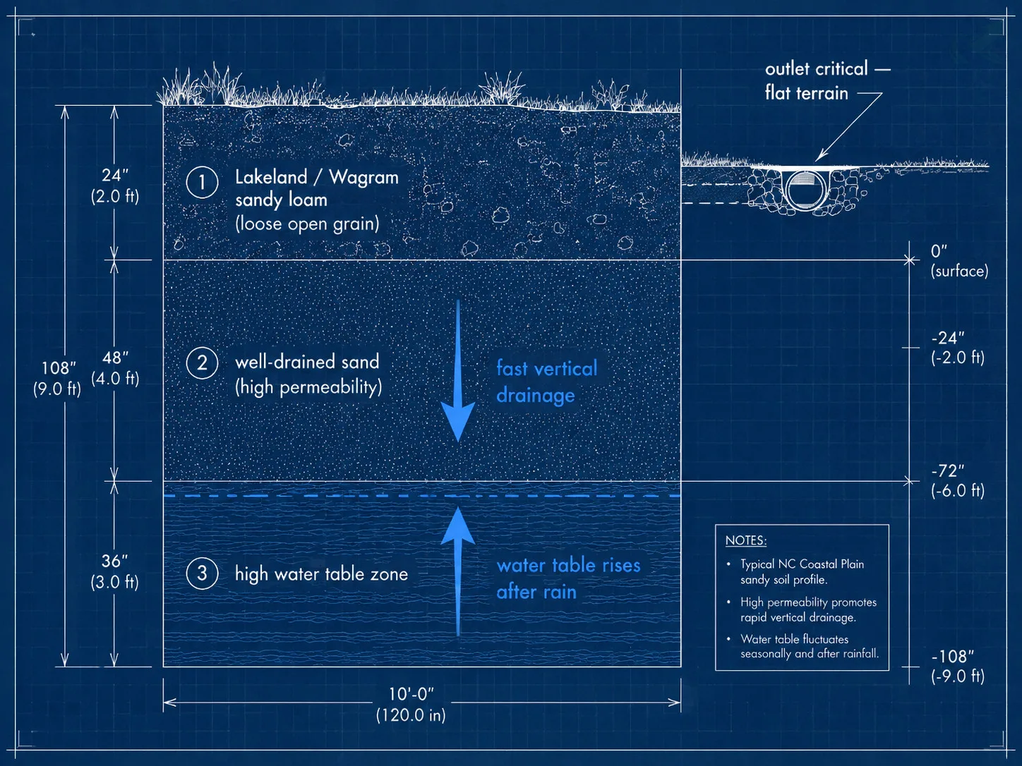Blueprint cross-section of NC Coastal Plain sandy soil: Lakeland / Wagram sandy loam over well-drained sand with fast vertical drainage, water table rising near the surface in flat terrain, and a surface outlet pipe showing why outlet location drives the drainage design