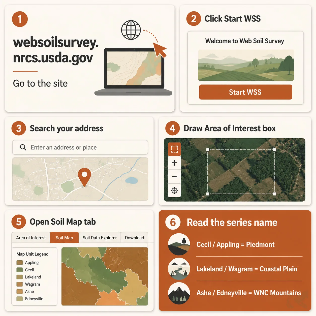 Bento-grid six-step guide to finding your NC soil zone using the USDA Web Soil Survey: visit the site, click Start WSS, search address, draw area of interest, open Soil Map tab, then match the series name -- Cecil or Appling is Piedmont, Lakeland or Wagram is Coastal Plain, Ashe or Edneyville is WNC Mountains
